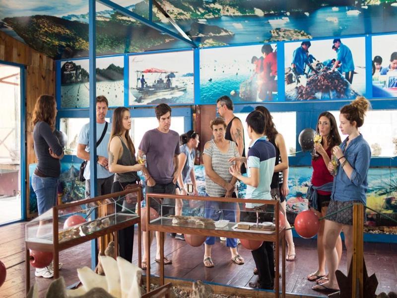 Hotel Charm Boutique Cruise Ha Long Zewnętrze zdjęcie